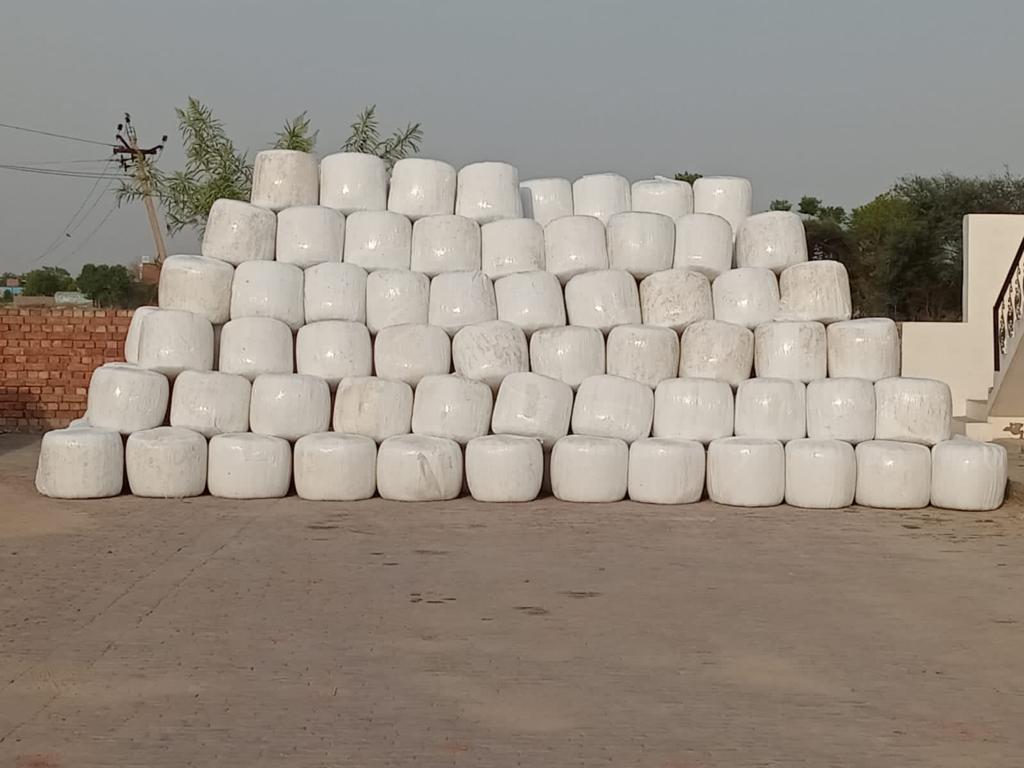 corn silage bales